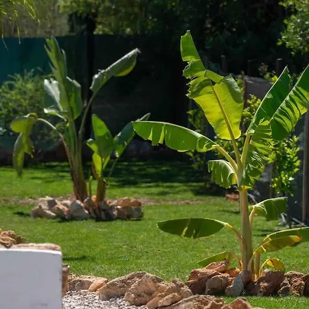 Casa Emella Luxury Villa *